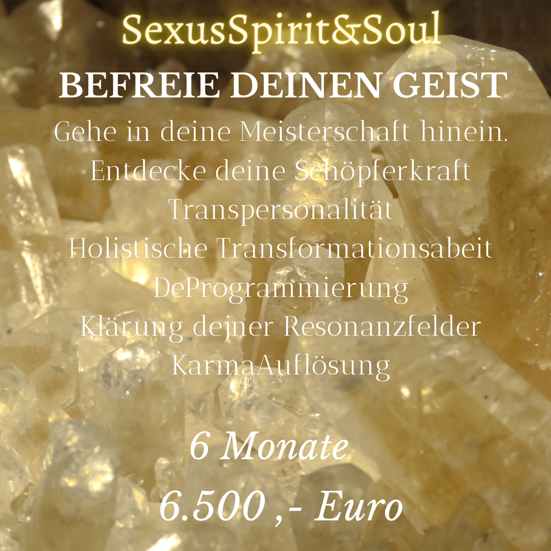 einzel/